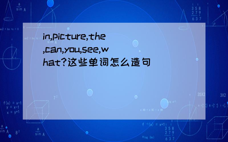 in,picture,the,can,you,see,what?这些单词怎么造句