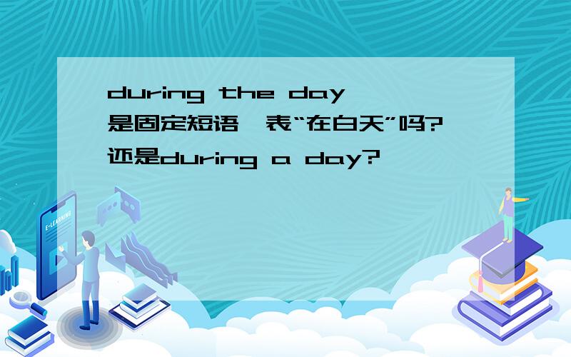 during the day是固定短语,表“在白天”吗?还是during a day?