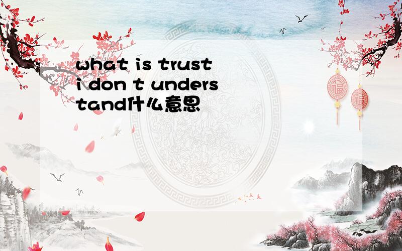 what is trust i don t understand什么意思