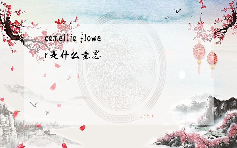 camellia flower是什么意思