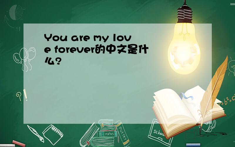 You are my love forever的中文是什么?
