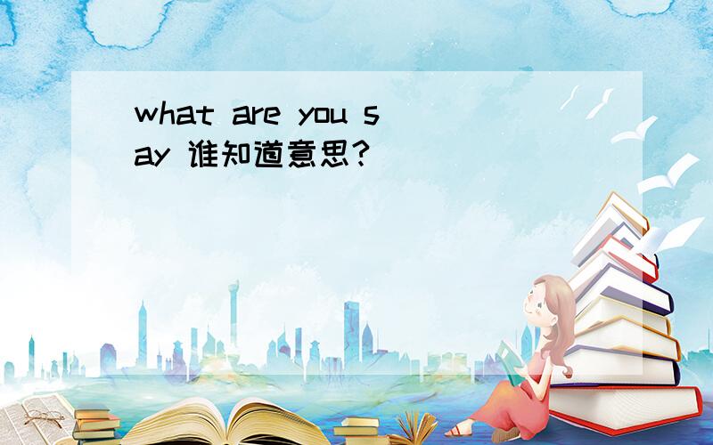 what are you say 谁知道意思?