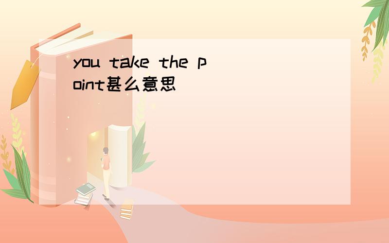 you take the point甚么意思